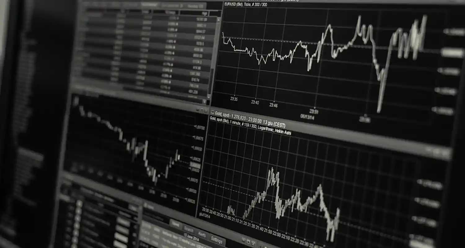 Economia e Management cosa si studia