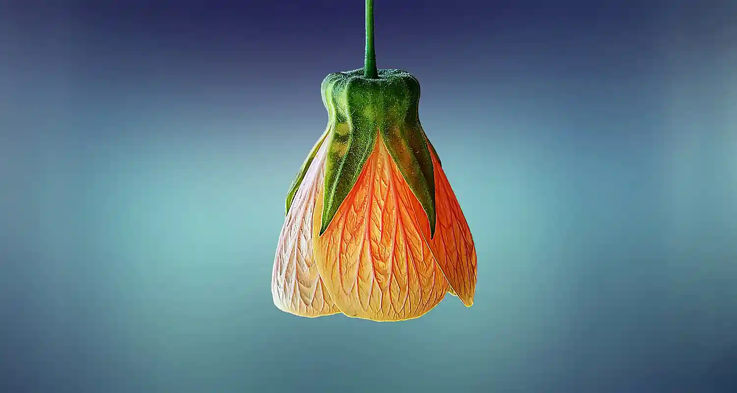 Coltivazione di piante ornamentali come funziona