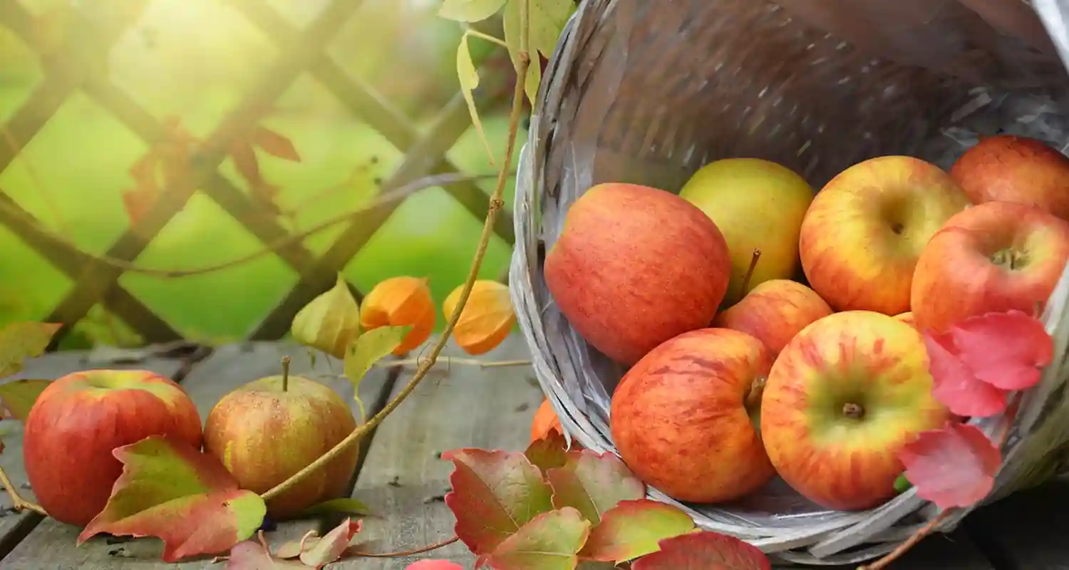 Temperatura conservazione frutta e verdura Haccp