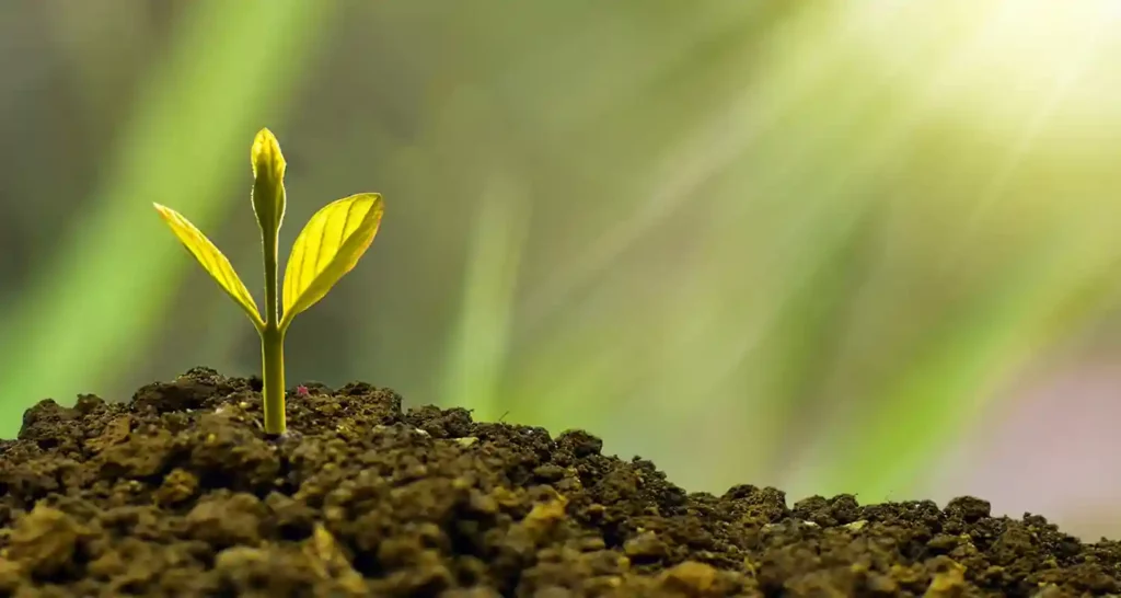 Le caratteristiche del sistema economico collettivista