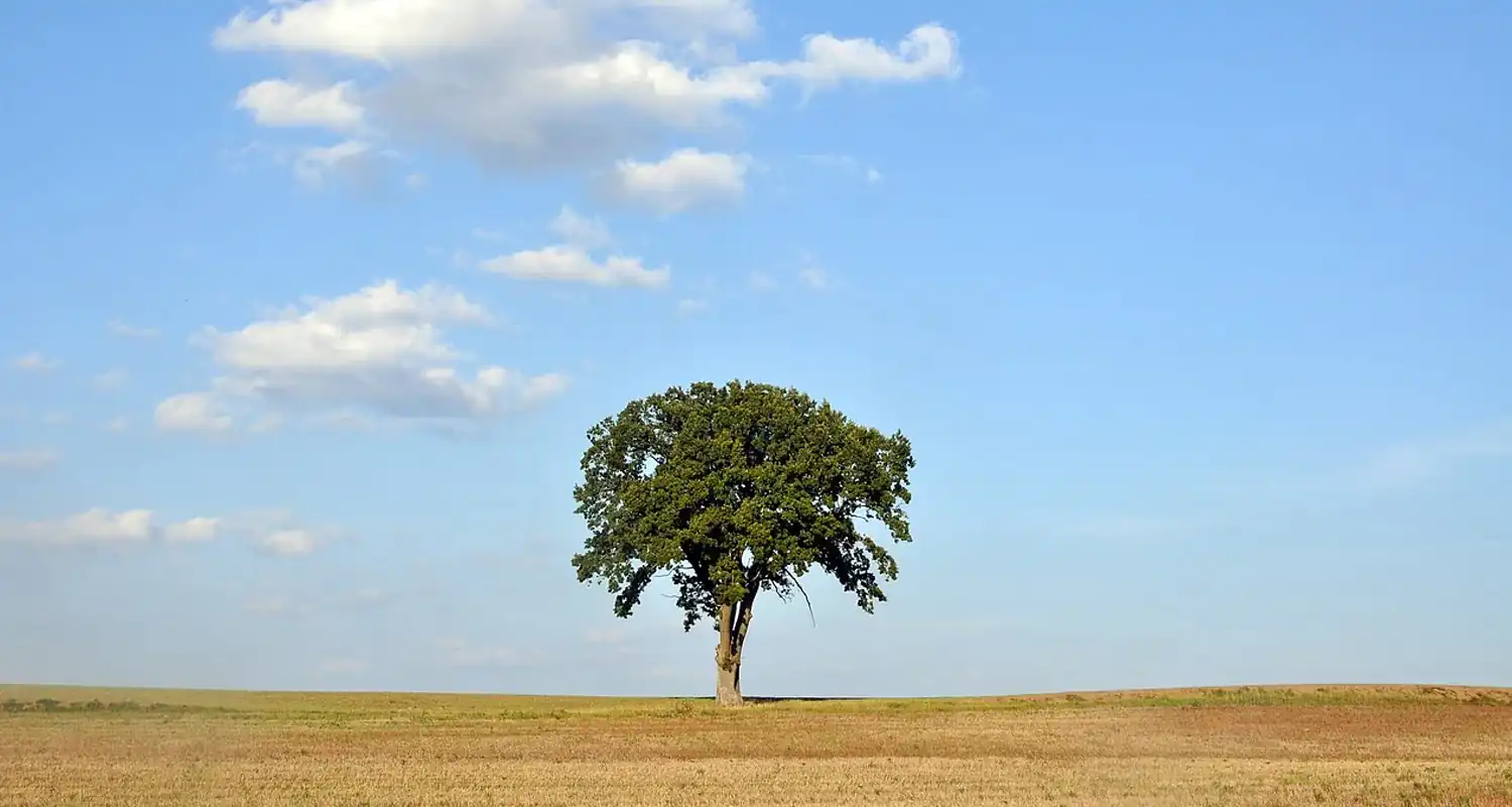 Cosa si puo costruire su un terreno non edificabile