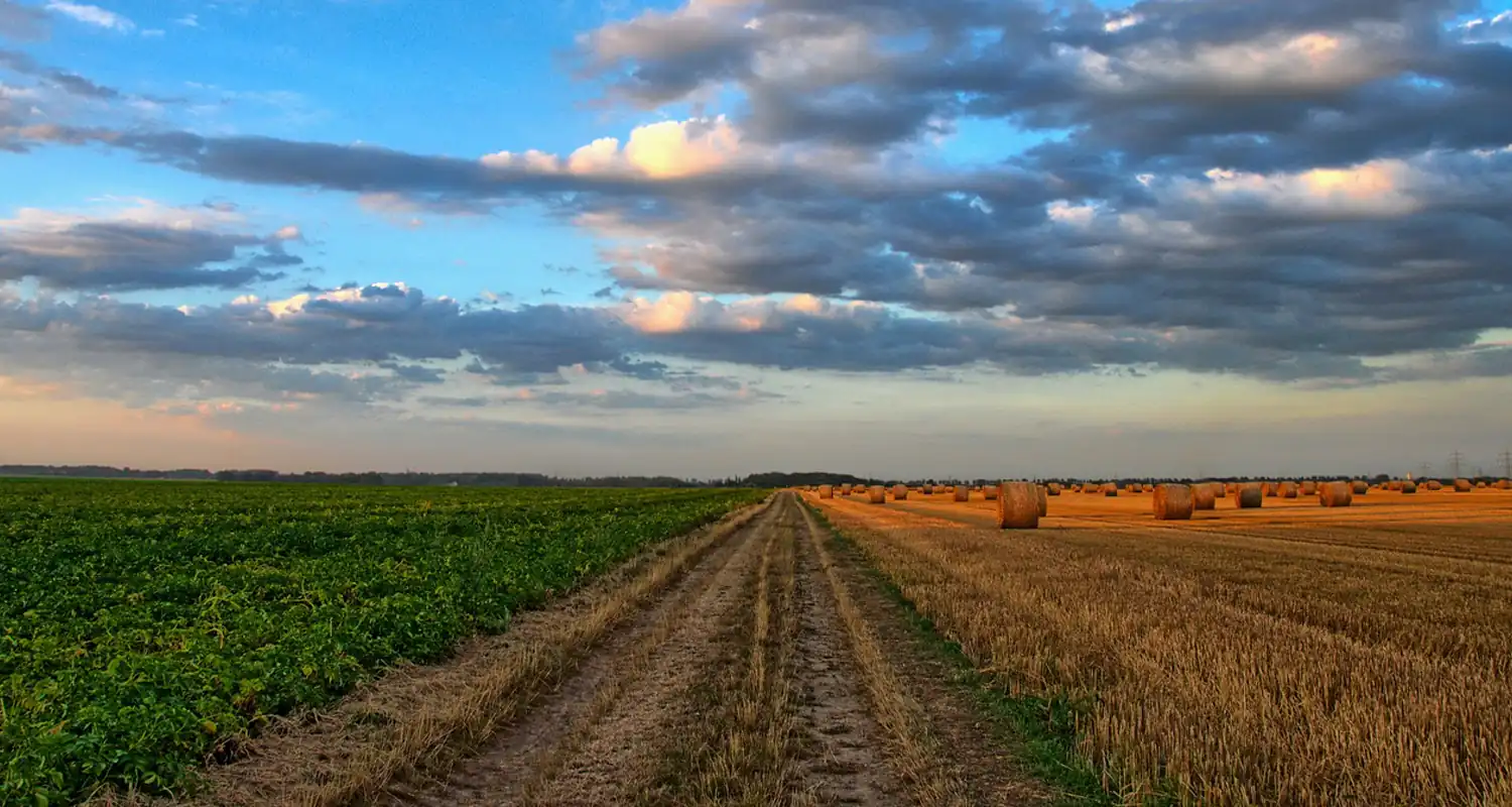 Si puo fare una gettata di cemento in un terreno agricolo