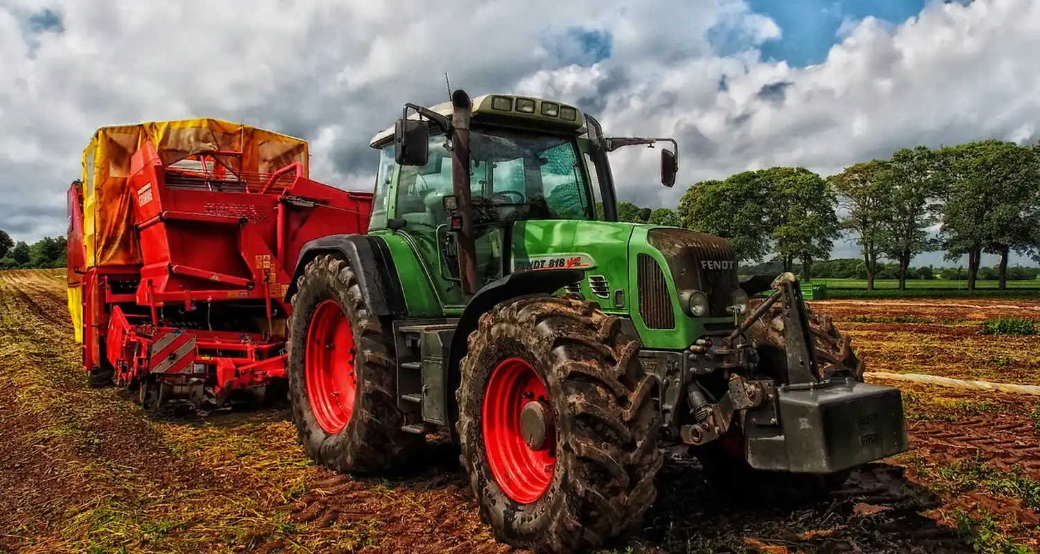Agricoltura di piantagione che significa