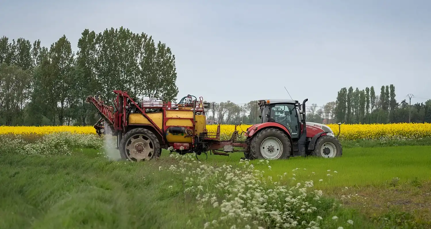 Agricoltura di sussistenza e di mercato