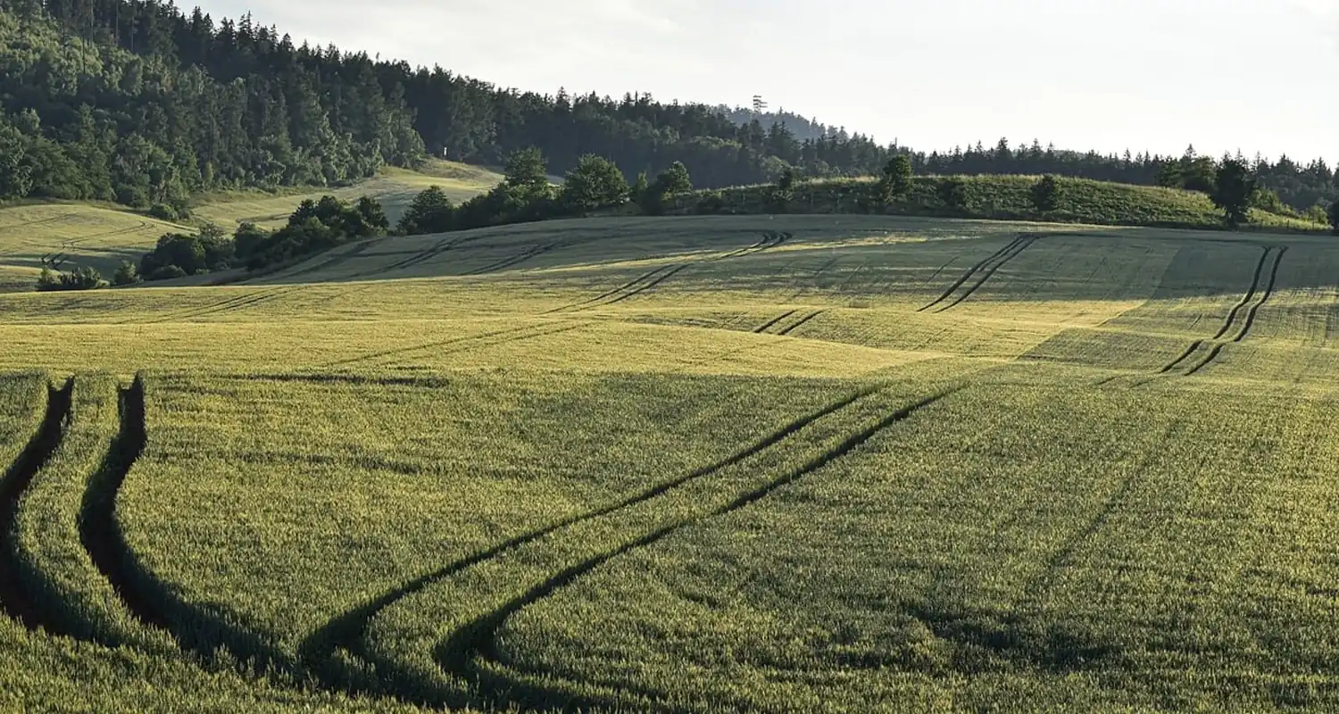 Campania agricoltura e allevamento