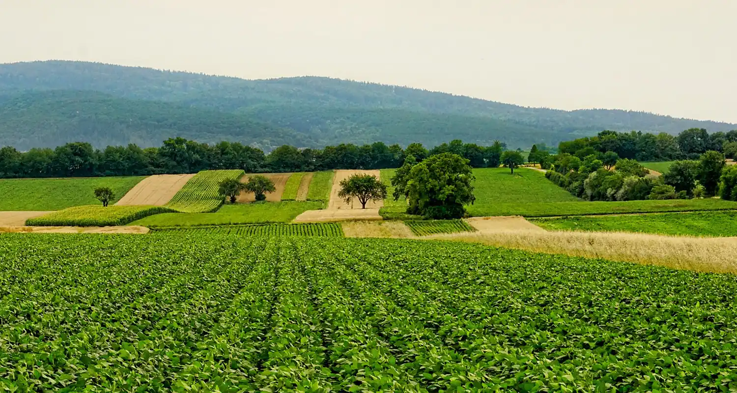 Tutte le attivita possibili su terreno agricolo