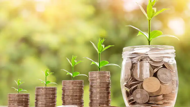 Il Sistema Bancario Italiano Evoluzione Ruolo e Sfide Attuali