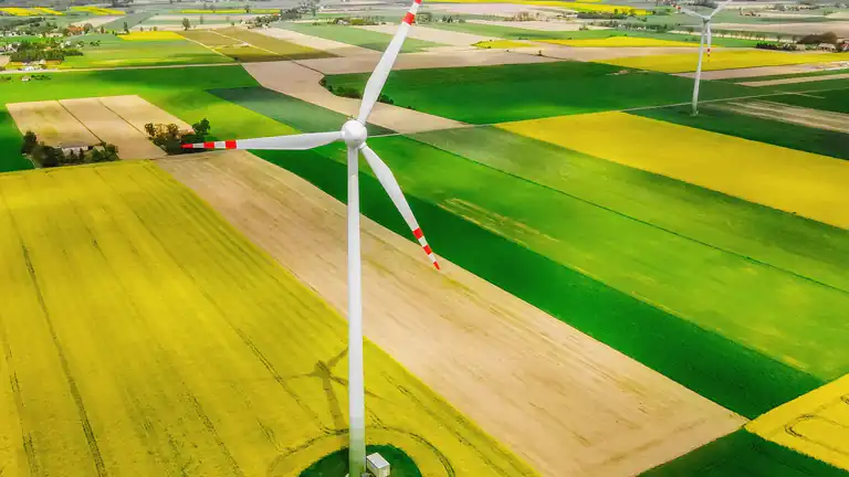 Transizione ecologica in Campania: sfide e opportunità verso un futuro sostenibile