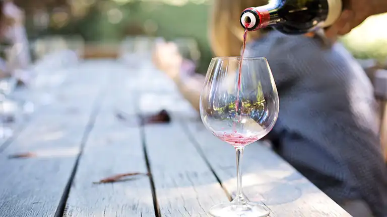Il Settore della Produzione di Vino in Campania Tradizione Innovazione e Sfide Future