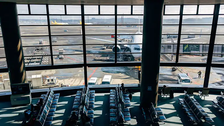 Attacco Hacker Blocca Japan Airlines Voli Cancellati e Ritardi Durante le Ore di Punta