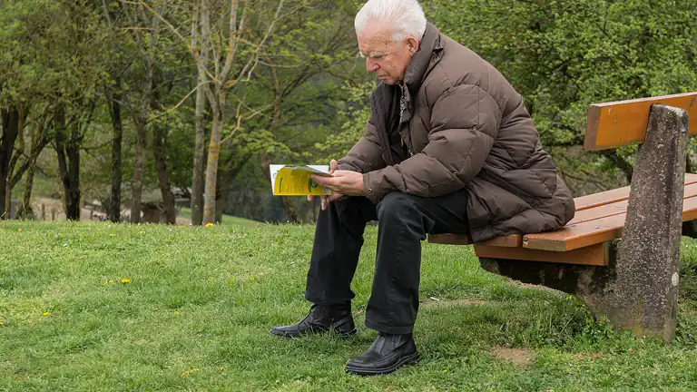 Pensioni dicembre 2024, tredicesima e bonus