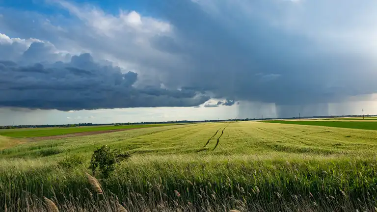 Come determinare il valore di mercato di un terreno agricolo