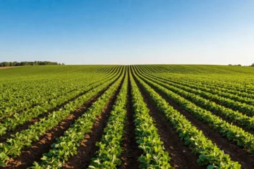 Quanto terreno serve per aprire un’azienda agricola