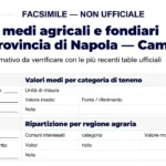 Valori Agricoli Medi (VAM) Napoli sul BURC: Cosa Sono e Come Consultarli