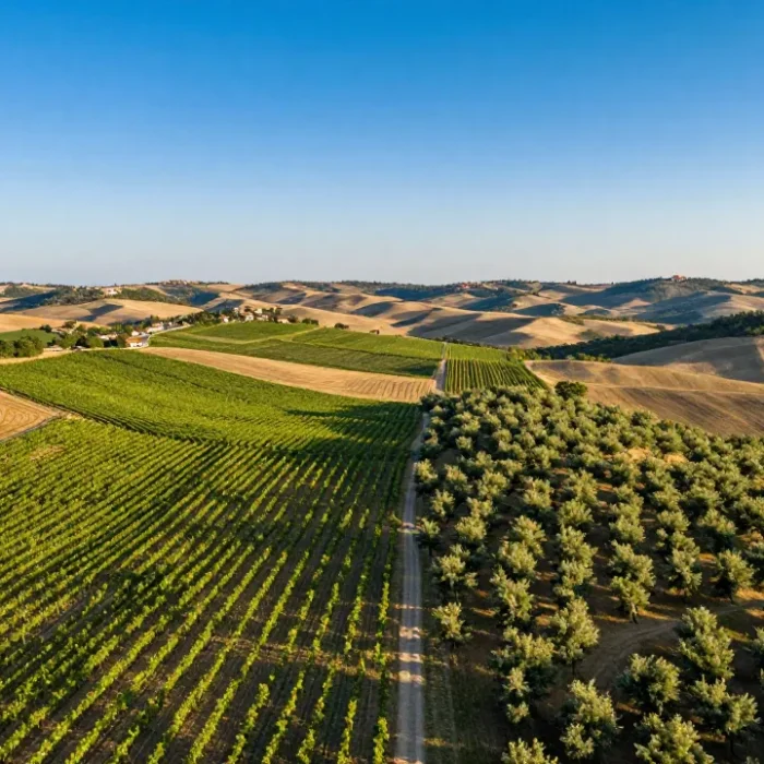 Valore di un Terreno Agricolo al mq ad Avellino: Guida Completa ai Prezzi e alle Opportunità in Irpinia
