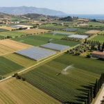 Valori Agricoli Medi Salerno 2026: Guida Pratica, Tabelle VAM e Calcolo Indennità