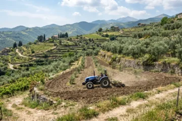 Banca della Terra Campania: come ottenere un terreno agricolo