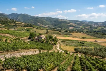 Valori Agricoli Medi Campania: tabelle VAM per provincia