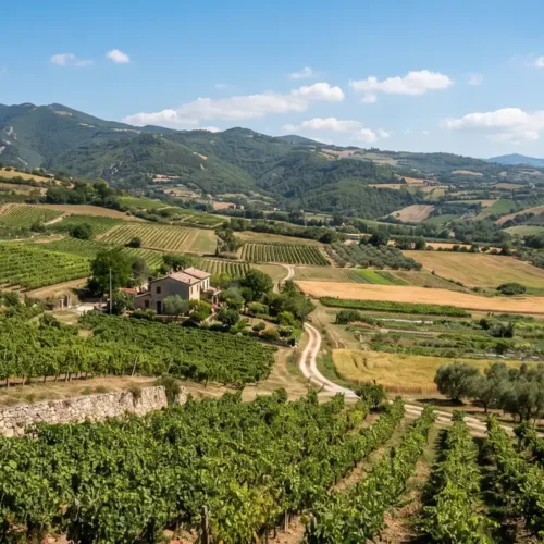 Valori Agricoli Medi Campania: tabelle VAM per provincia
