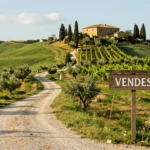 Vendita di un terreno agricolo: cosa deve pagare chi vende